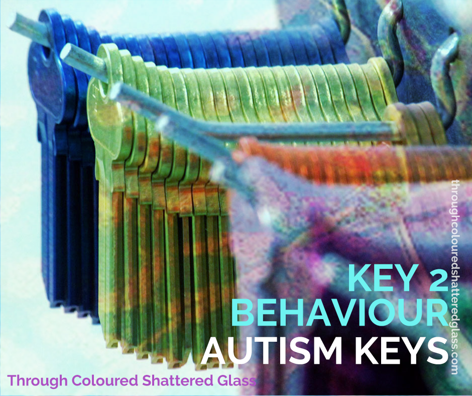 Autism Keys 2: Behaviour